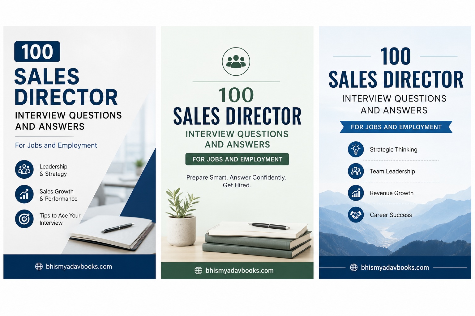 Sales Director Interview Questions