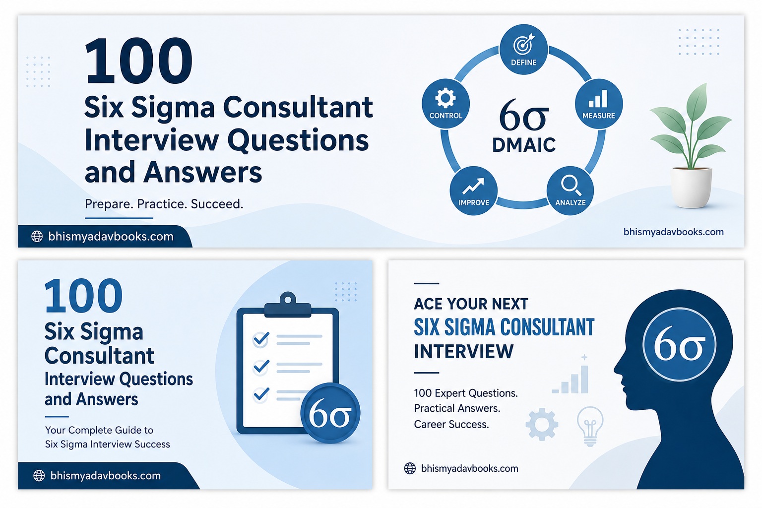 Six Sigma Consultant Interview Questions